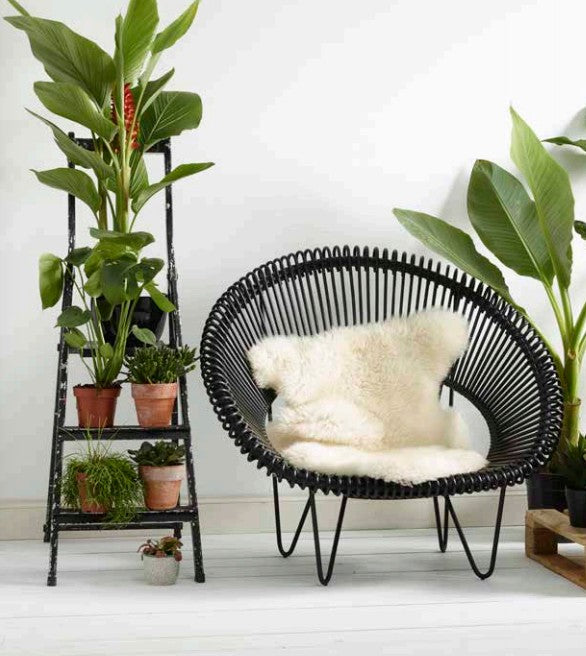 Fauteuil bas ROY COCOON sans coussin d'assise - VINCENT SHEPPARD