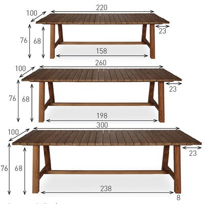 Table BERNARD en teck 220 x 100 cm
