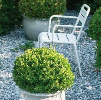 Fauteuil STAR